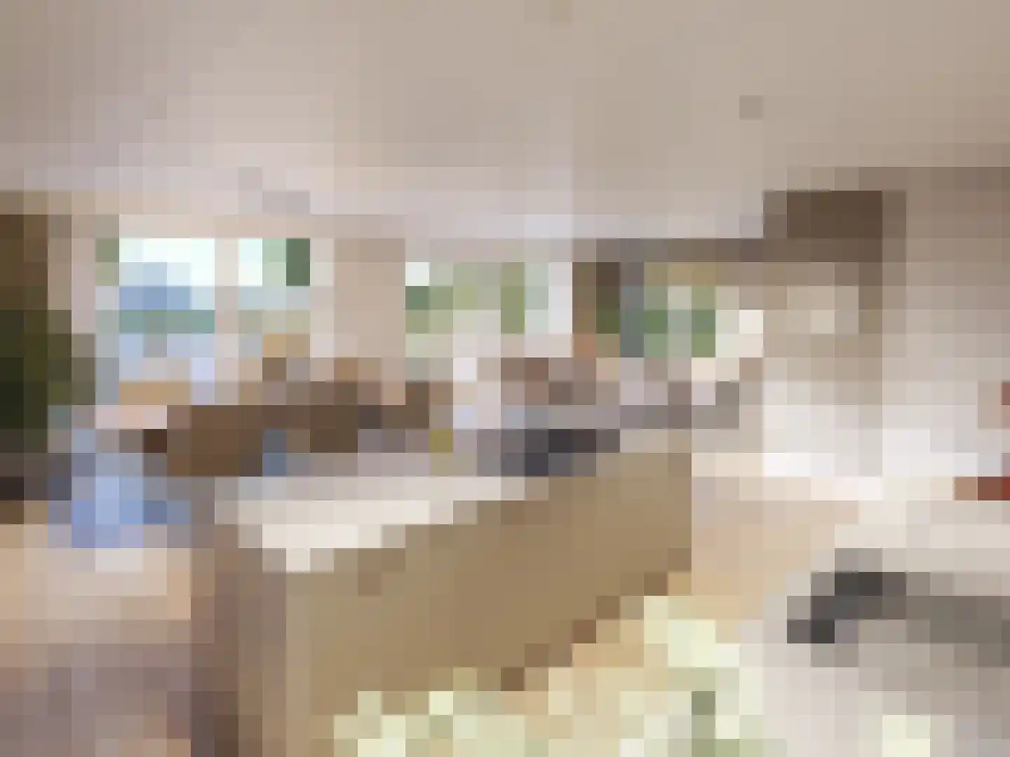 Ringfeartstrjitte 6 Wergea thumbnail 8