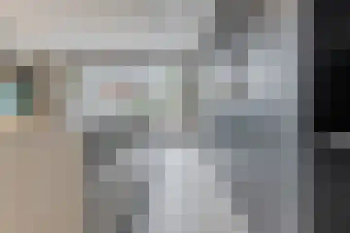 Ringgreppel 22 Heeze thumbnail 12