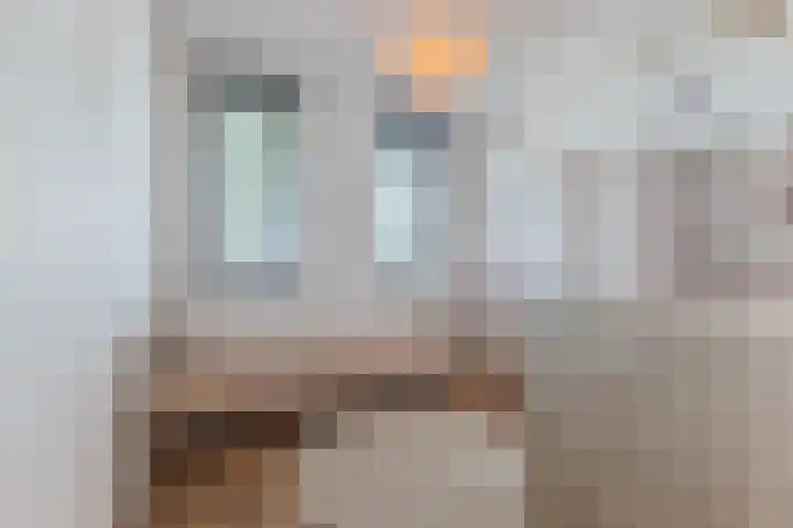 Ringgreppel 22 Heeze thumbnail 17
