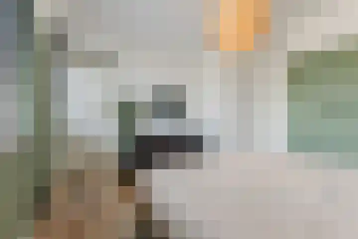 Ringgreppel 22 Heeze thumbnail 23