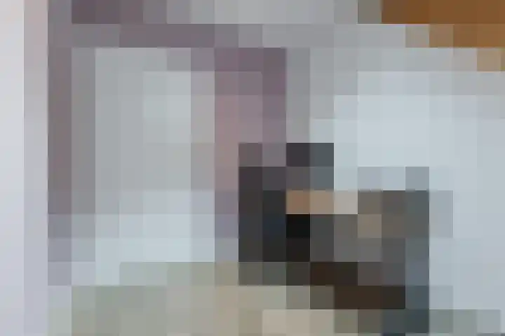 Ringgreppel 22 Heeze thumbnail 27