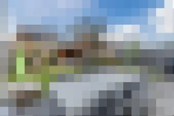 Ringgreppel 22 Heeze thumbnail 28