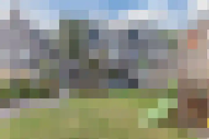 Ringgreppel 22 Heeze thumbnail 29
