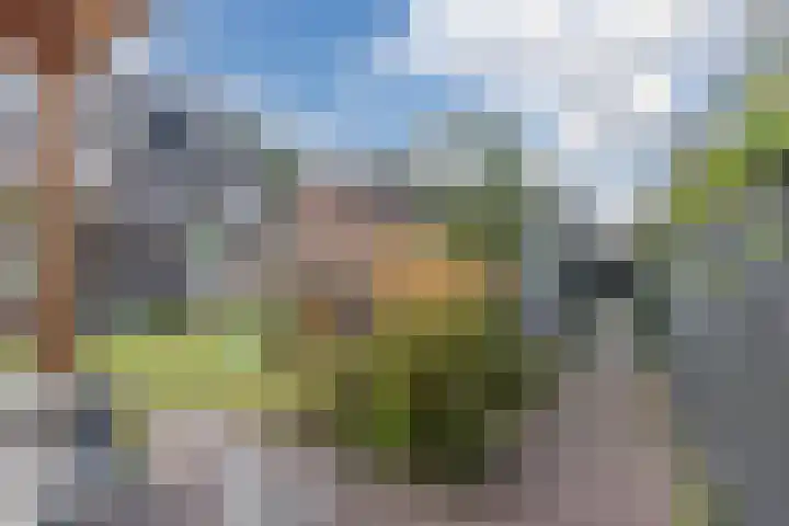 Ringgreppel 22 Heeze thumbnail 30
