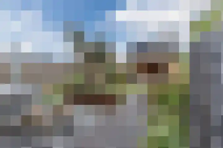 Ringgreppel 22 Heeze thumbnail 31