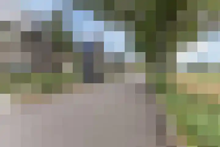 Ringgreppel 22 Heeze thumbnail 33
