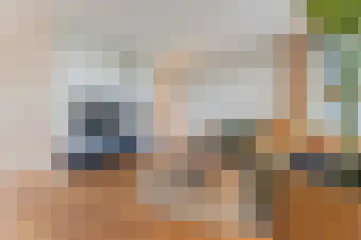 Ringgreppel 22 Heeze thumbnail 7