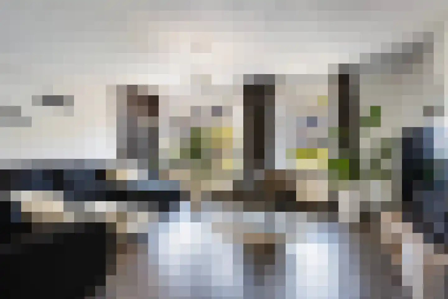Ringiastins 10 Leeuwarden thumbnail 10