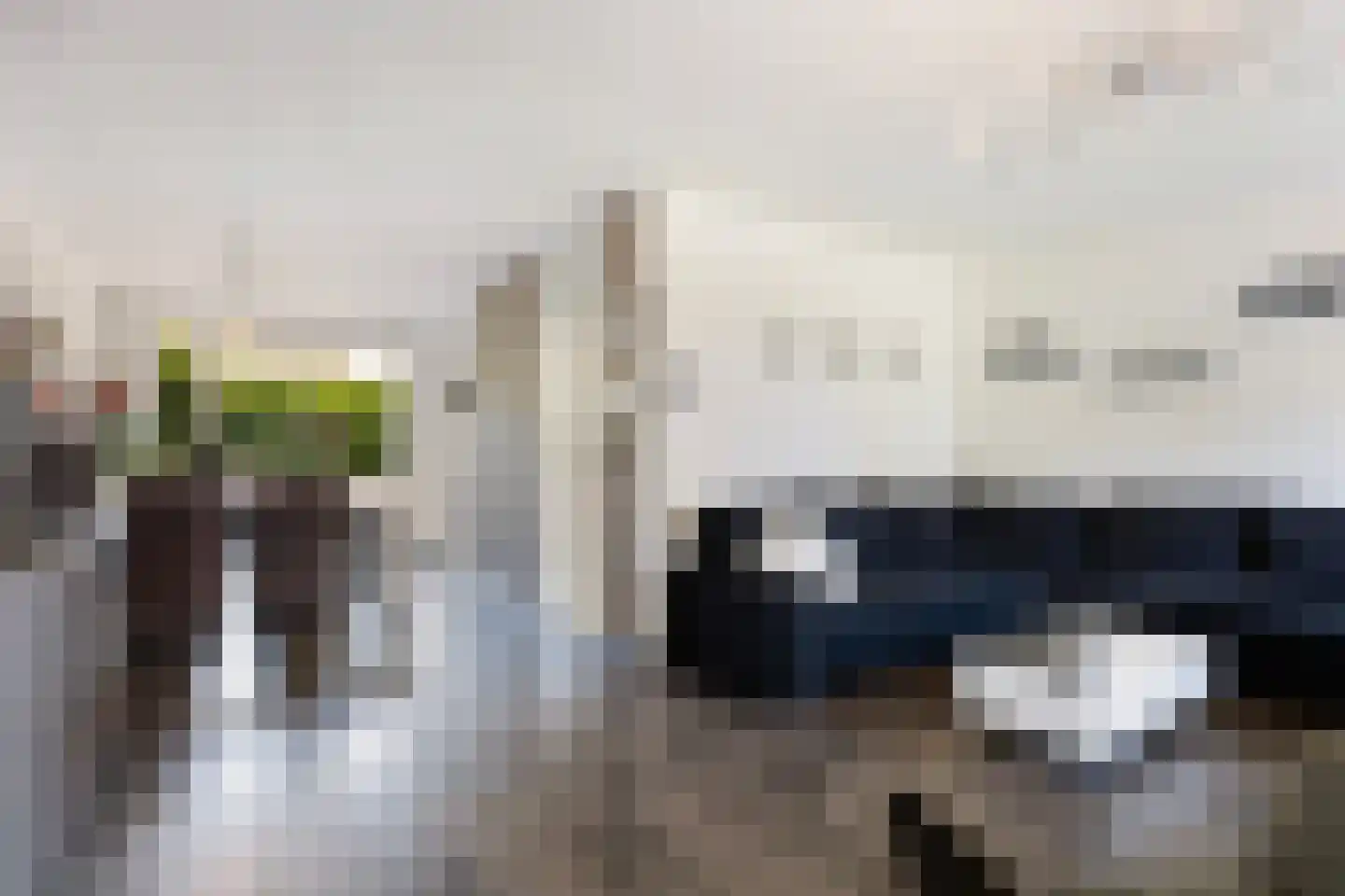 Ringiastins 10 Leeuwarden thumbnail 12