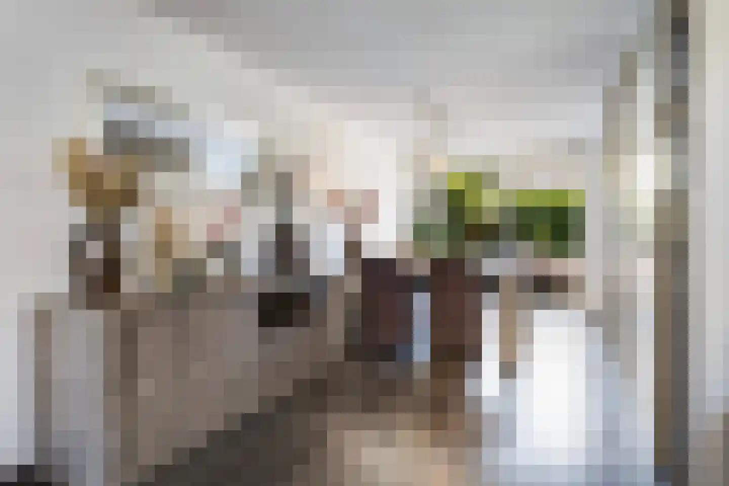 Ringiastins 10 Leeuwarden thumbnail 14