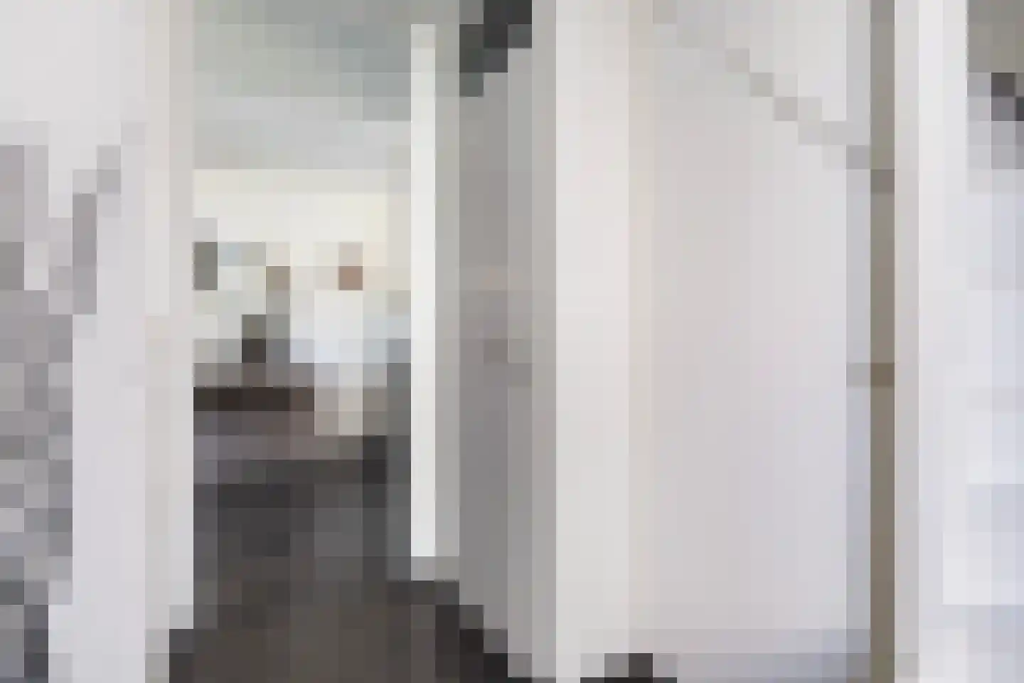 Ringiastins 10 Leeuwarden thumbnail 21