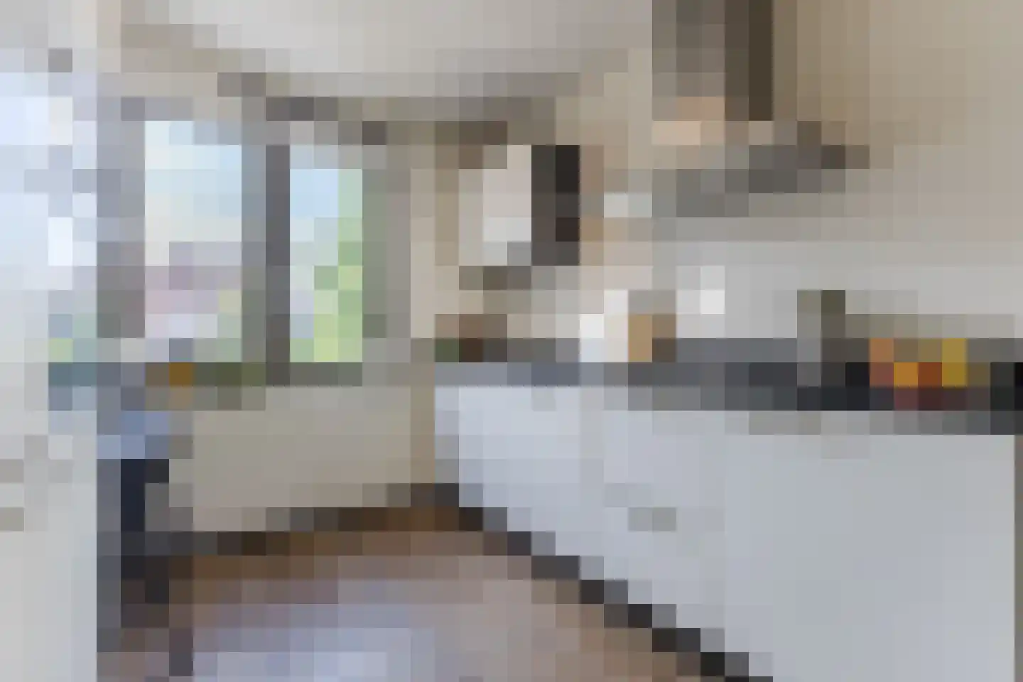 Ringkade 22 Leiden thumbnail 23