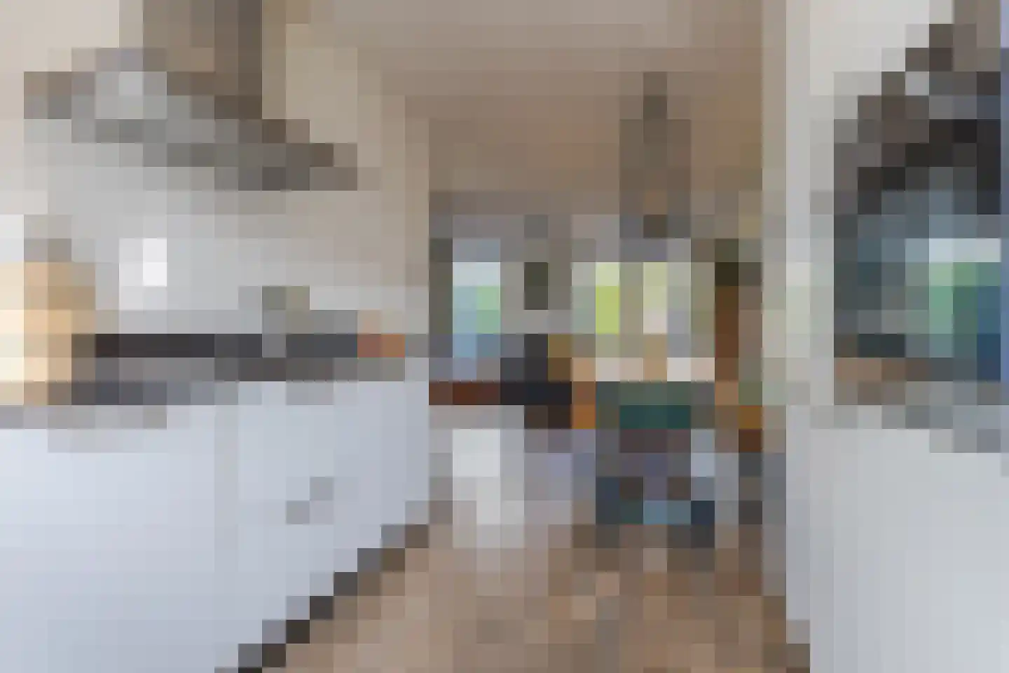 Ringkade 22 Leiden thumbnail 24