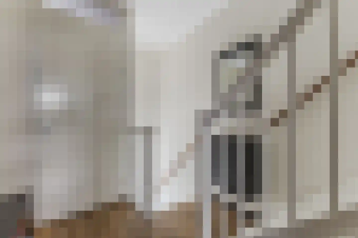 Ringkade 22 Leiden thumbnail 27