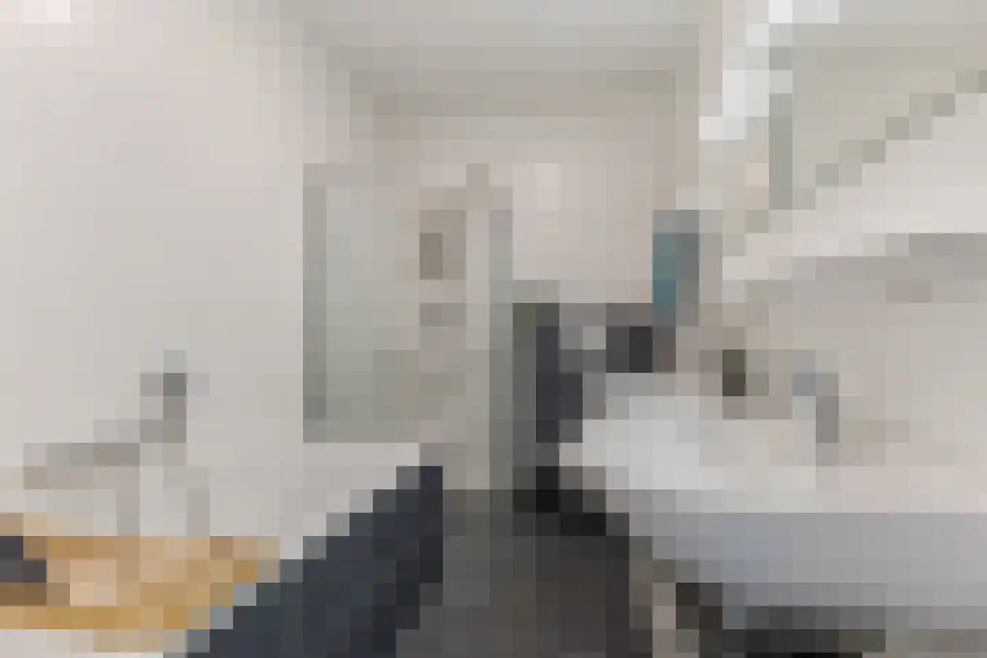Ringkade 22 Leiden thumbnail 37