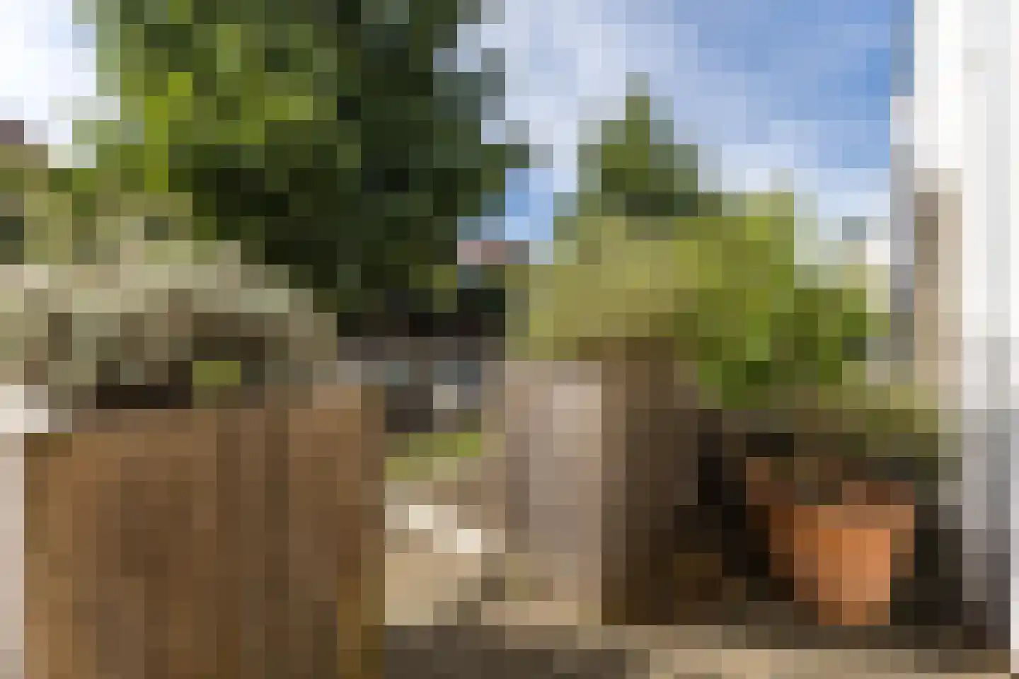Ringkade 22 Leiden thumbnail 7