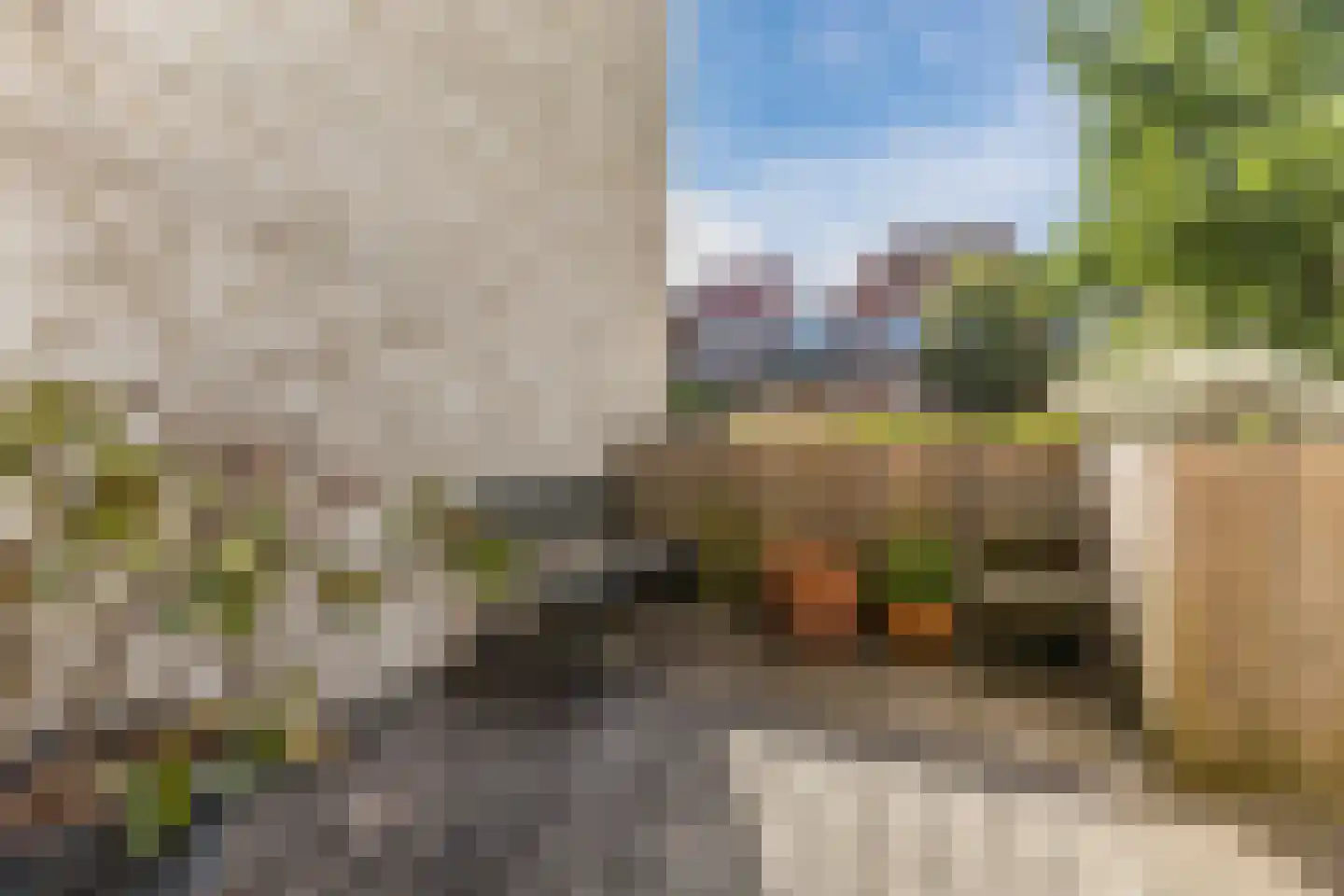 Ringkade 22 Leiden thumbnail 8
