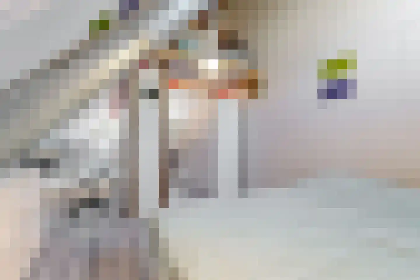 Ringkade 23 Leiden thumbnail 25
