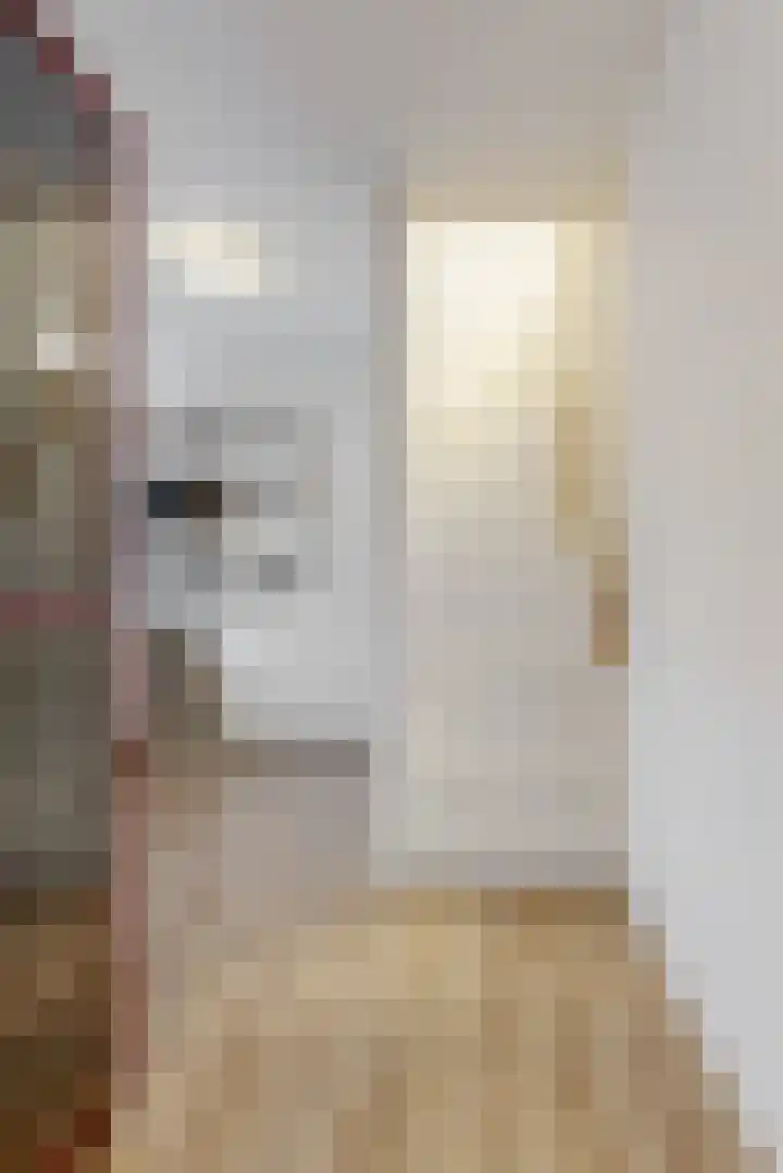Ringkade 25 Leiden thumbnail 8
