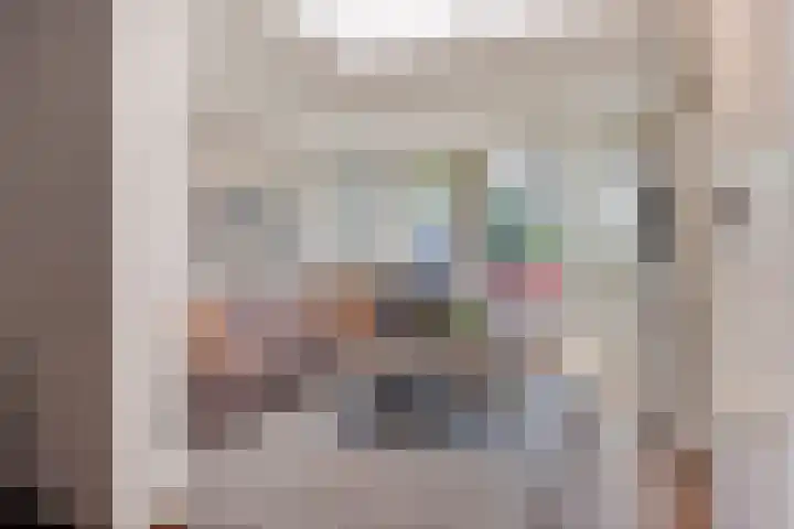 Ringkade 33 Beneden-Leeuwen thumbnail 10