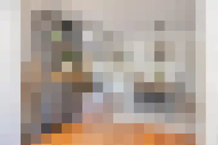 Ringkade 33 Beneden-Leeuwen thumbnail 13