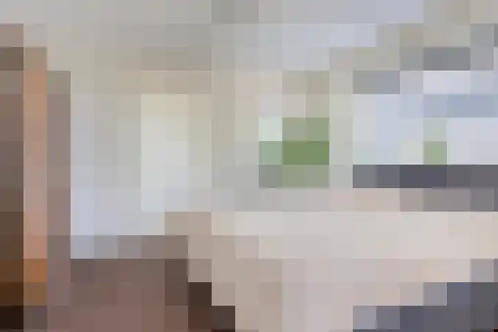Ringkade 33 Beneden-Leeuwen thumbnail 22