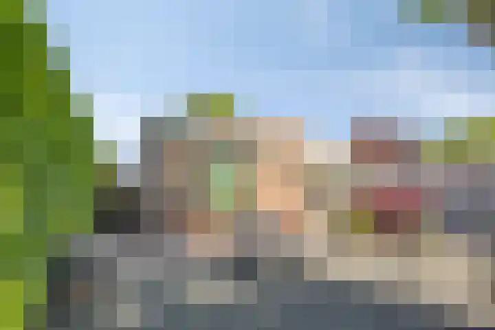 Ringkade 33 Beneden-Leeuwen thumbnail 33