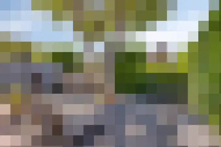 Ringkade 33 Beneden-Leeuwen thumbnail 37