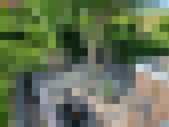 Ringkade 33 Beneden-Leeuwen thumbnail 38
