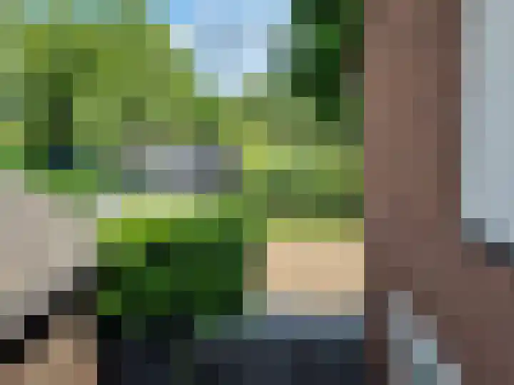 Ringkade 33 Beneden-Leeuwen thumbnail 39