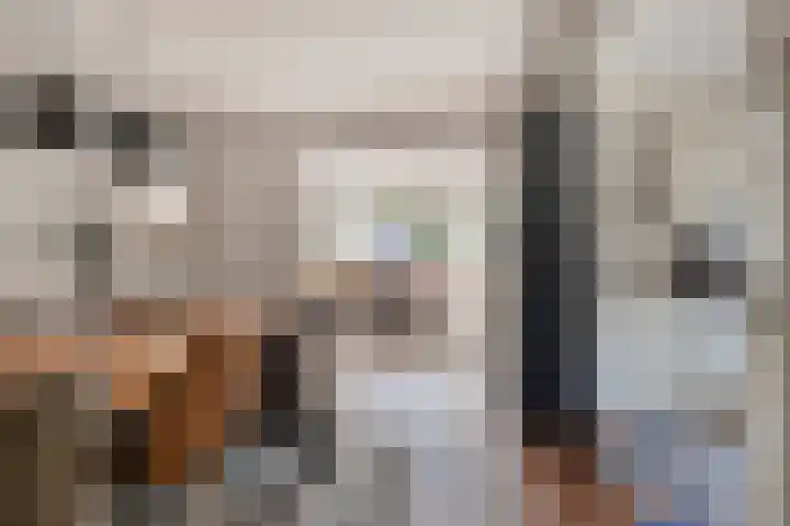 Ringkade 33 Beneden-Leeuwen thumbnail 9