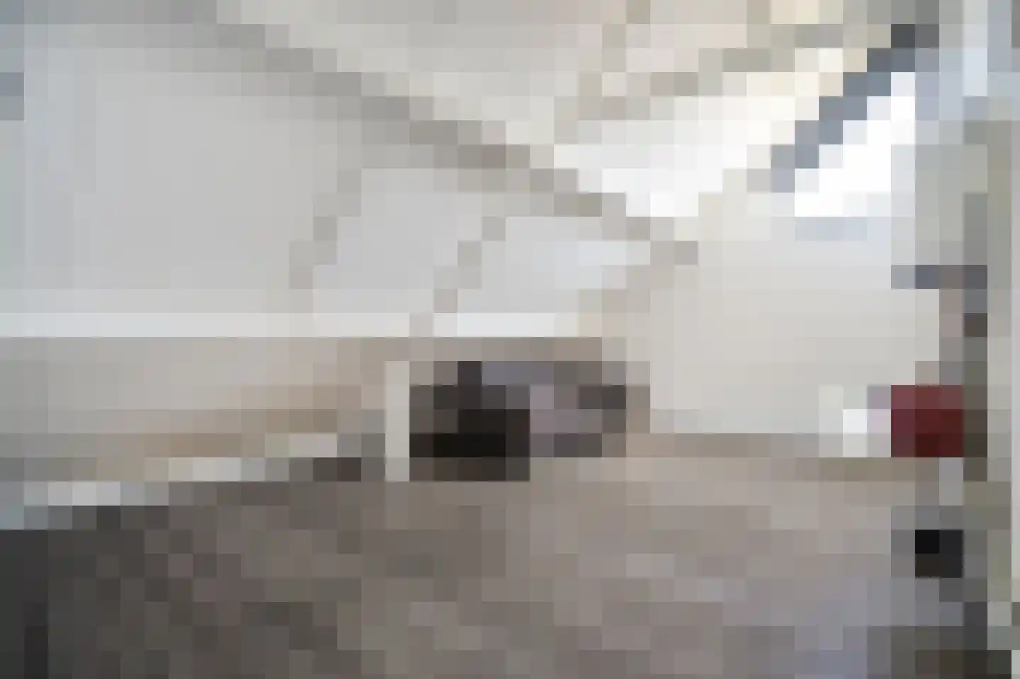 Ringkade 61 Leiden thumbnail 26