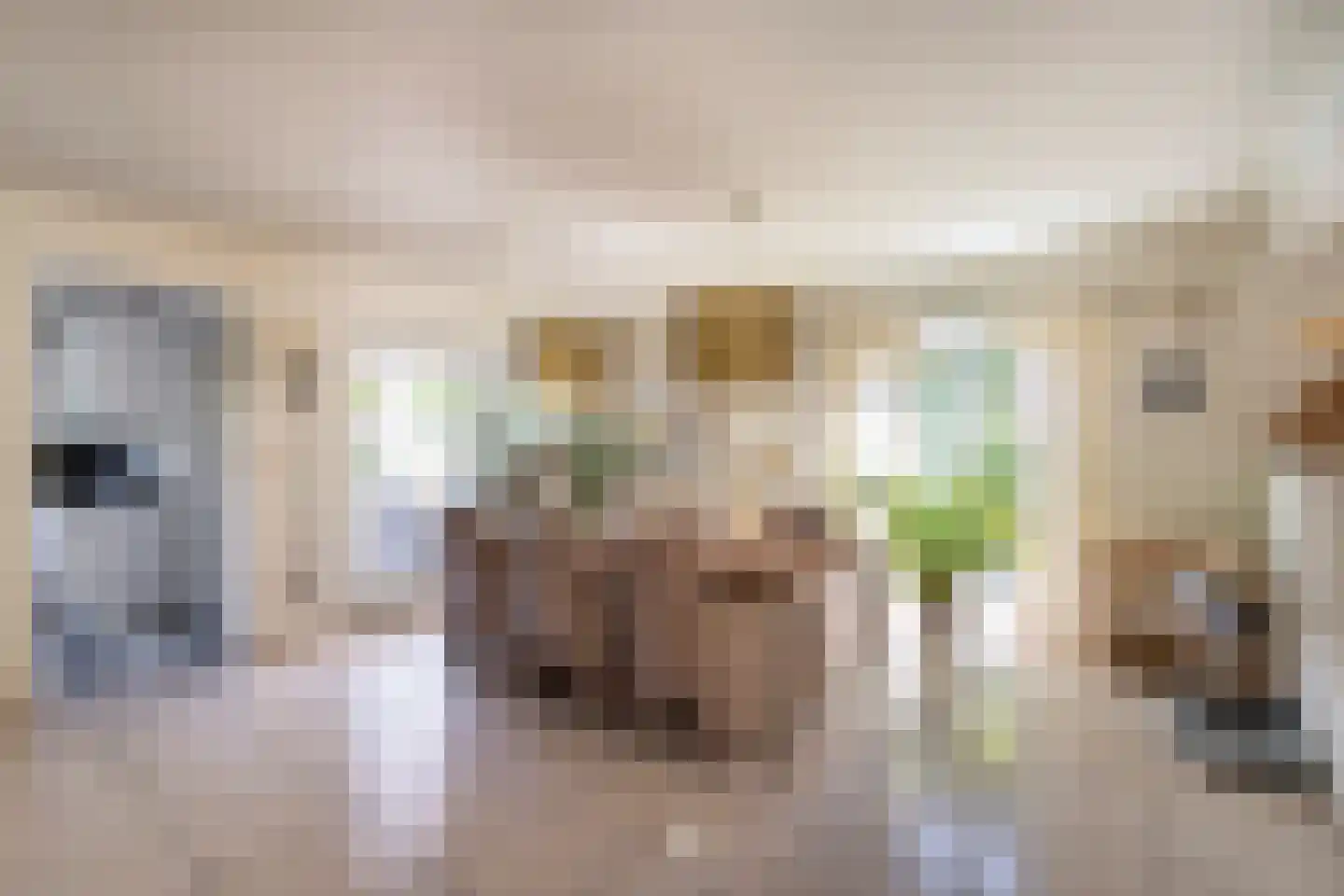 Ringlaan 113 Arriën thumbnail 12