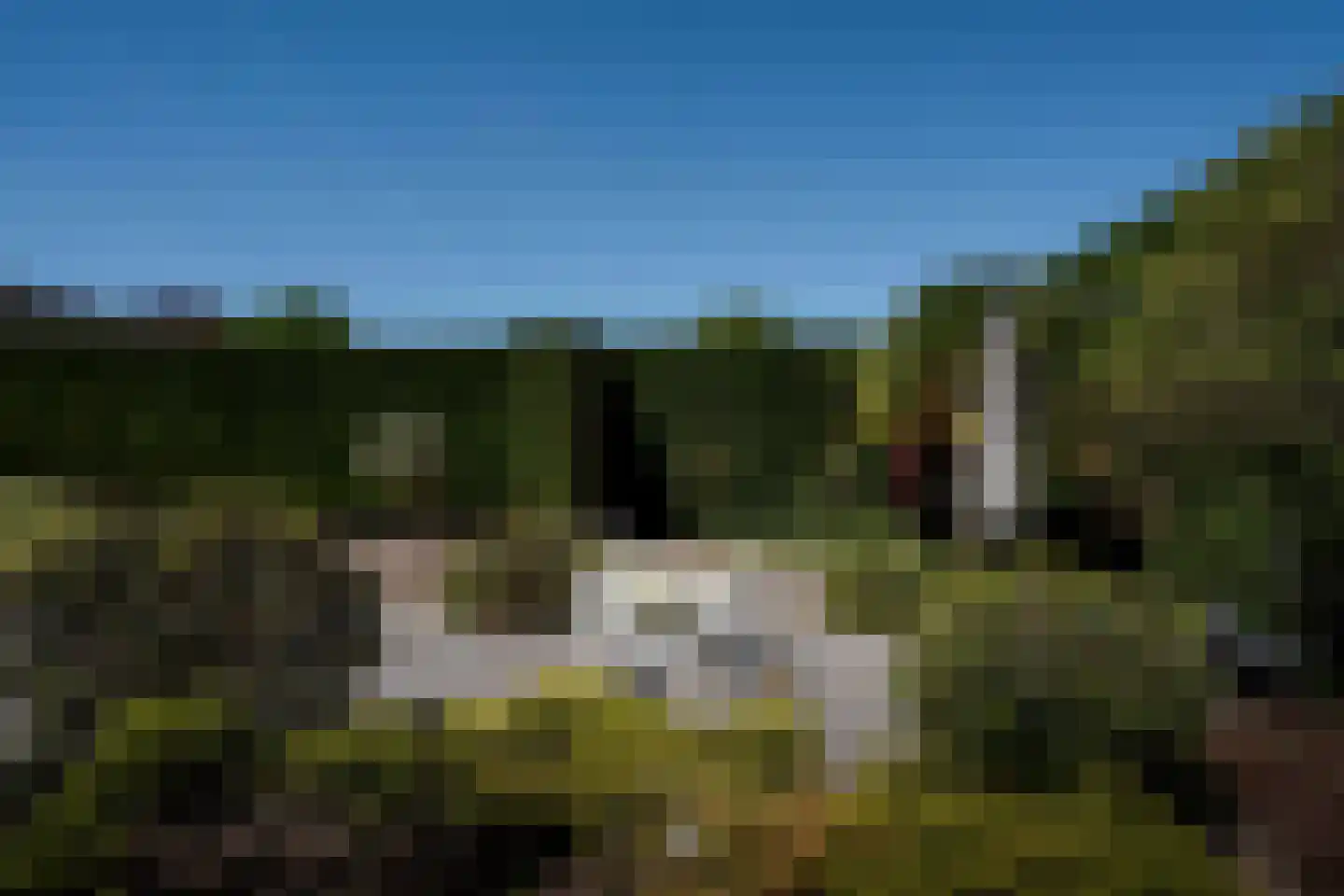 Ringlaan 113 Arriën thumbnail 18
