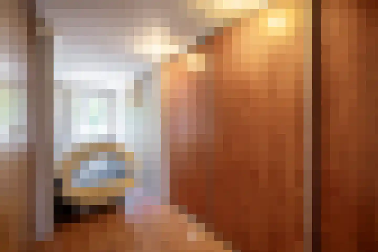 Ringlaan 113 Arriën thumbnail 19