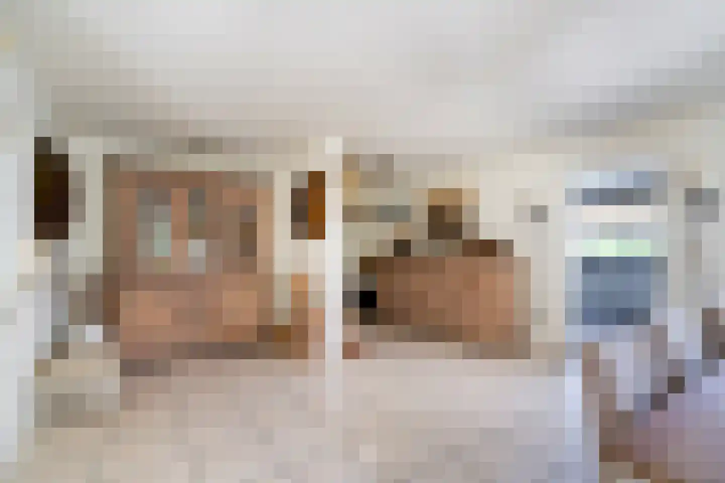 Ringlaan 113 Arriën thumbnail 20