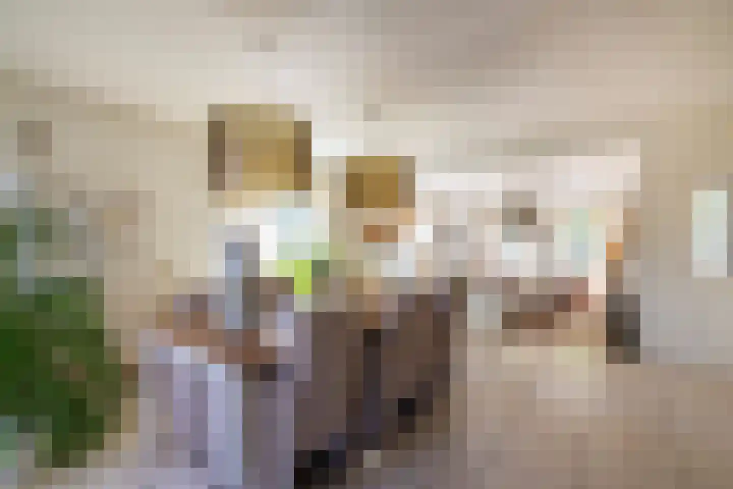 Ringlaan 113 Arriën thumbnail 4