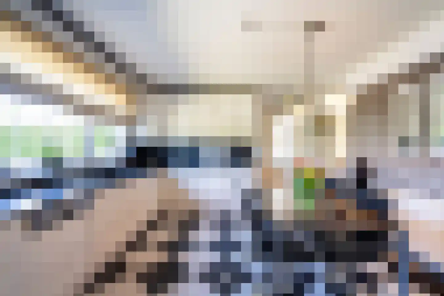 Ringlaan 113 Arriën thumbnail 7