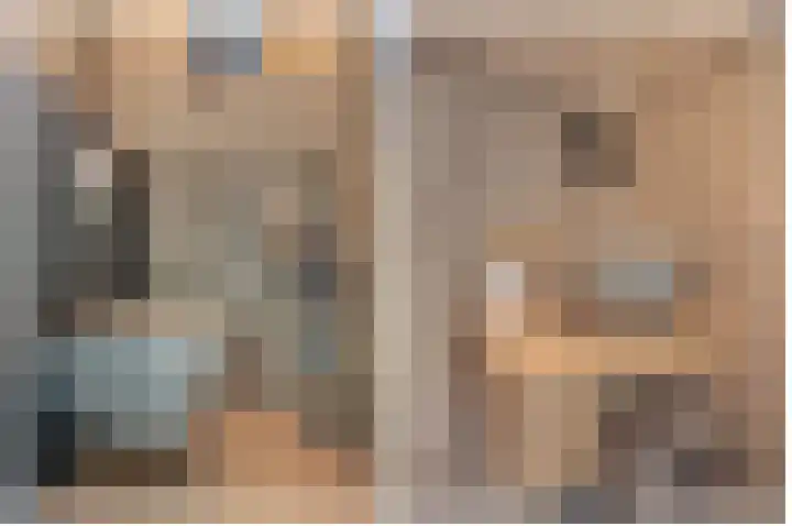 Ringlaan 39 Breskens thumbnail 10