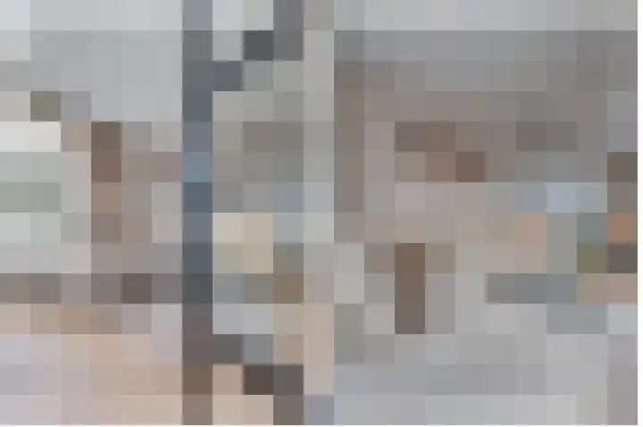 Ringlaan 39 Breskens thumbnail 13