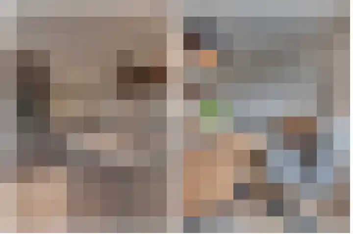 Ringlaan 39 Breskens thumbnail 15
