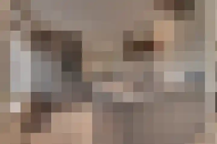 Ringlaan 39 Breskens thumbnail 16