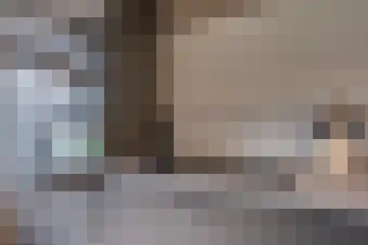 Ringlaan 39 Breskens thumbnail 17