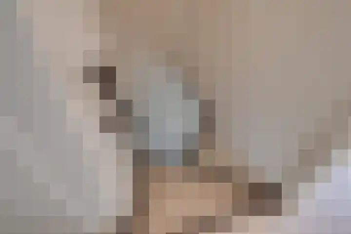 Ringlaan 39 Breskens thumbnail 20