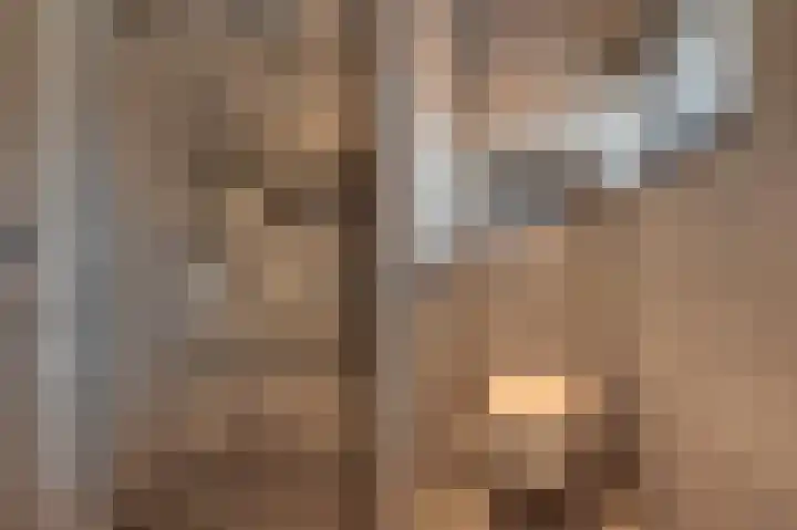 Ringlaan 39 Breskens thumbnail 25