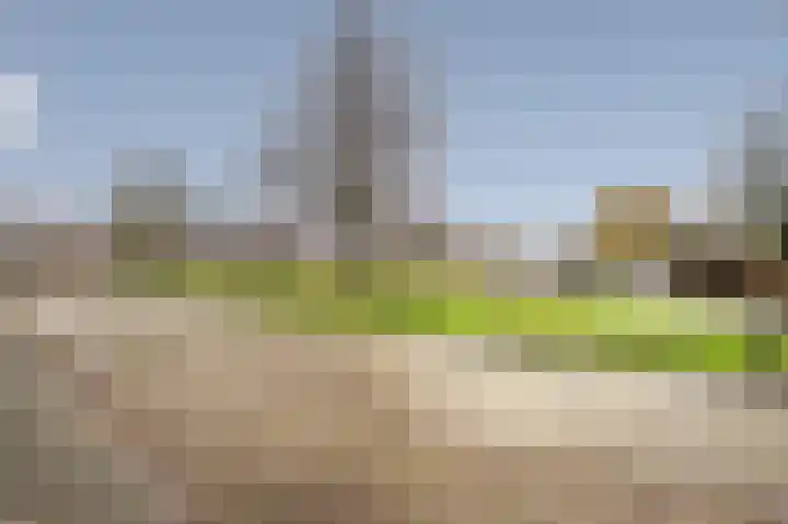 Ringlaan 39 Breskens foto 3