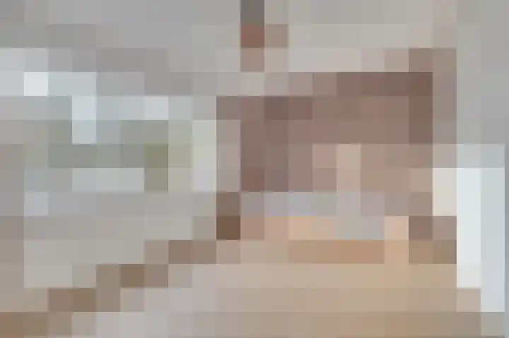 Ringlaan 39 Breskens thumbnail 30