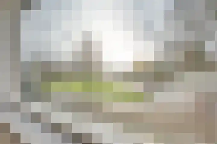 Ringlaan 39 Breskens thumbnail 32