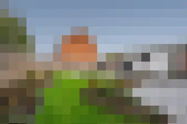 Ringlaan 39 Breskens thumbnail 34
