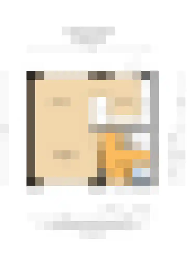 Ringlaan 39 Breskens thumbnail 38